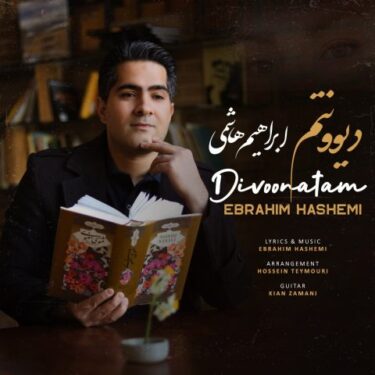 دانلود آهنگ جدید ابراهیم هاشمی دیوونتم
